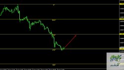 cadchf - 1H.jpg