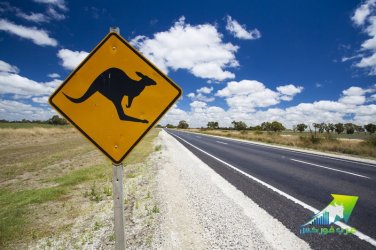 kangaroo_sign_800x533_L_1412584194.jpg